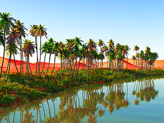 Image showing African oasis