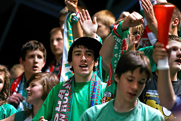 Image showing ecstatic sport fans cheering