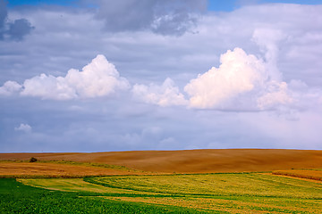 Image showing Typical Polish landscape