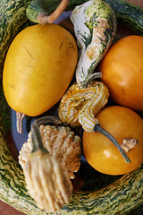 Image showing Pumpkins