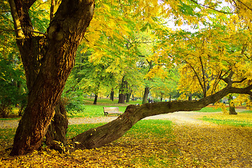 Image showing Park in autumn time