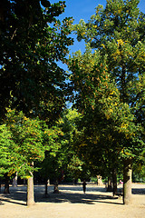 Image showing Park in autumn time