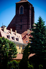 Image showing Monuments in Wroclaw, Poland