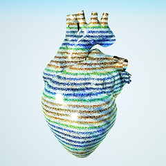 Image showing Model of human heart