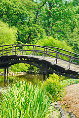 Image showing Traditional japanese bridge