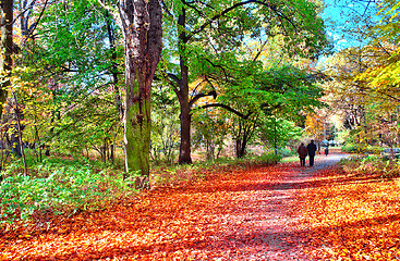 Image showing Senior couple in the park