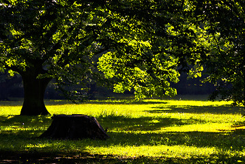 Image showing Park in spring time