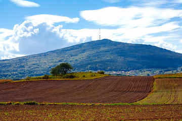 Image showing Typical Polish landscape