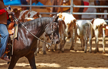 Image showing rodeo competition is about to begin