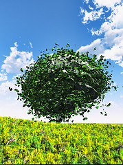 Image showing Human Brain grown with tiny leaves