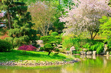 Image showing Japanese garden