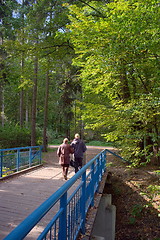 Image showing Senior couple in  park