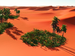 Image showing African oasis