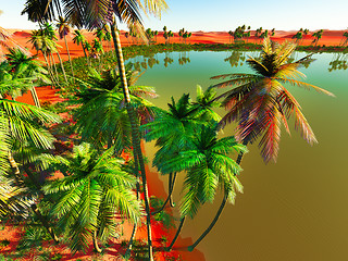 Image showing African oasis