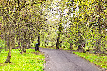 Image showing Spring time in park