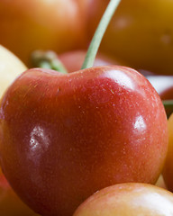 Image showing Close Up of a Rainier Cherry