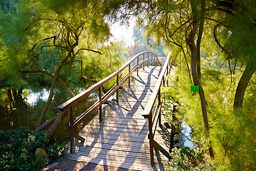 Image showing Japanese garden