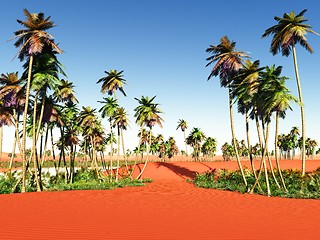 Image showing African oasis