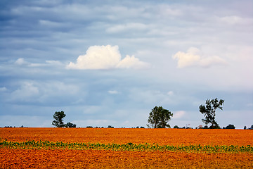 Image showing Typical Polish landscape