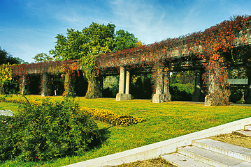 Image showing Historic archway in Wroclaw, Poland