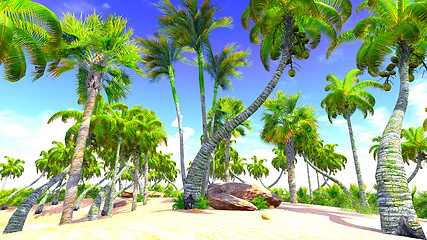 Image showing Hawaiian paradise