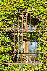 Image showing Barred window