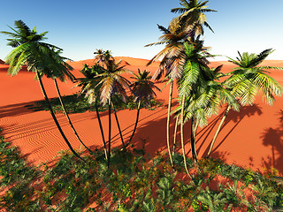 Image showing African oasis