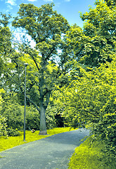 Image showing Spring time in park