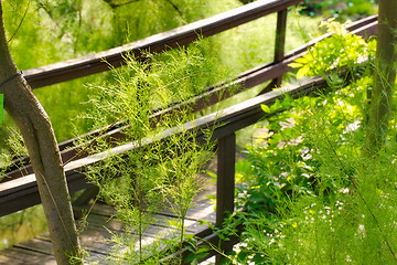 Image showing Traditional japanese bridge