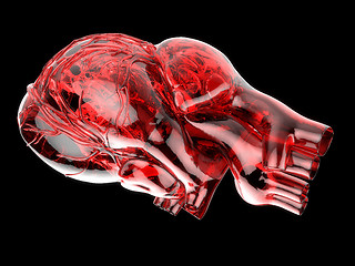 Image showing Model of artificial human heart