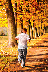 Image showing Male jogger in the park