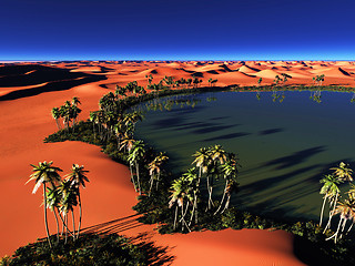 Image showing African oasis