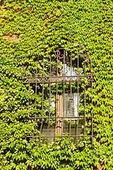 Image showing Barred window