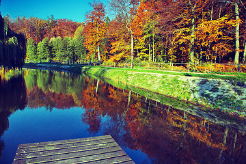 Image showing Fall time in park