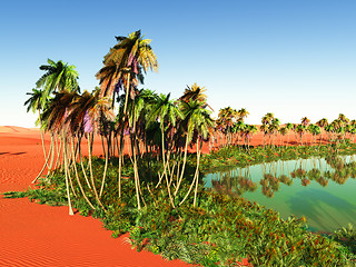 Image showing oasis