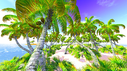 Image showing Hawaiian paradise