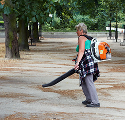 Image showing Woman worker collecting fallen leaves