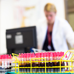 Image showing Rack of tubes with blood samples.