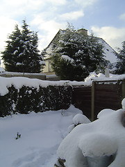 Image showing Snowy Garden 2