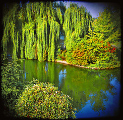 Image showing Lakescape in Poland