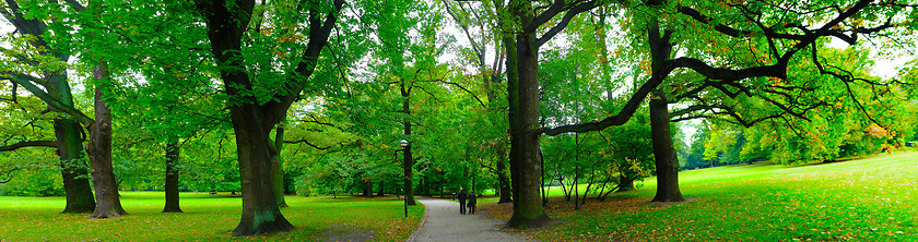 Image showing Park in autumn time