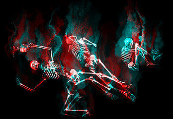 Image showing Human skeletons