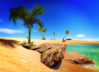 Image showing Hawaiian paradise