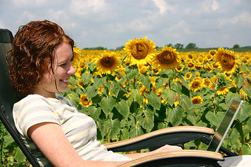 Image showing Working by the Sunflowers