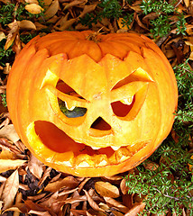 Image showing Halloween pumpkin