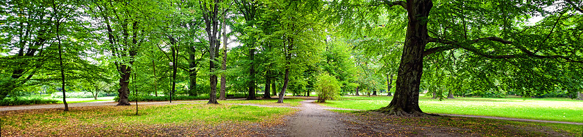 Image showing Park in autumn time