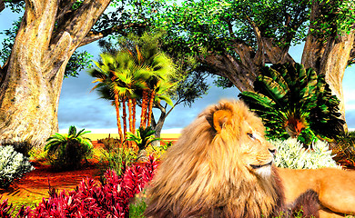 Image showing Lion rersting in savannah