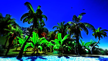 Image showing Hawaiian paradise