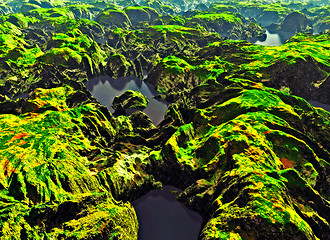 Image showing Amazon river bird's eye view