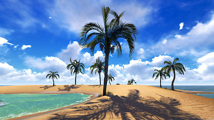 Image showing Hawaiian paradise